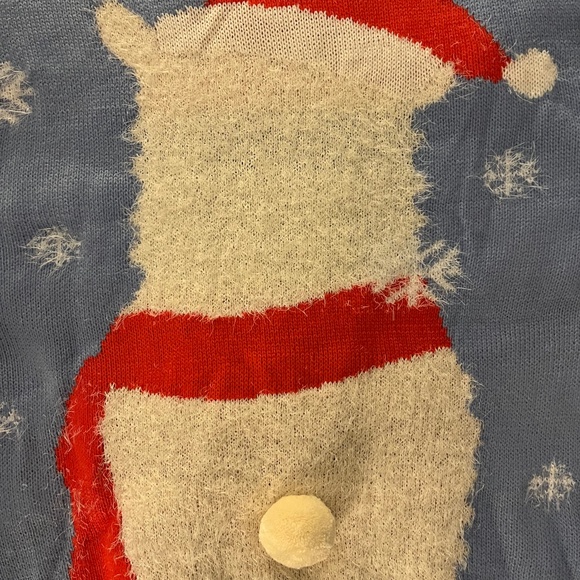 Aeropostale Christmas/Winter Sweater - Picture 6 of 6